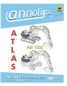 Preview: ATLAS Bagger Typ AB 1302 Bild- Ersatzteilliste & Explosionszeichnungen & Bedienungsanleitung & Wartungsplan  - annoligno 324